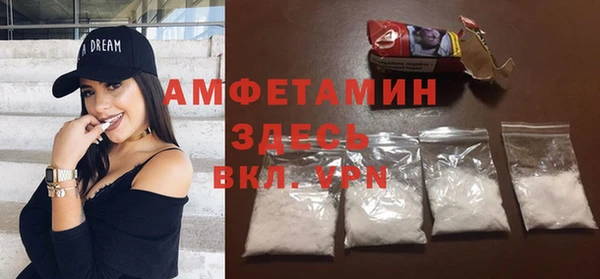 индика Сосновоборск