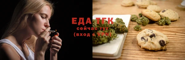 индика Сосновоборск